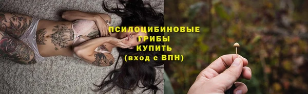 шишки Покровск