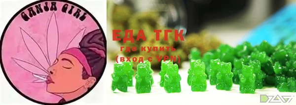 тгк Алзамай